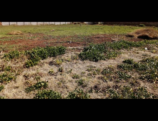 924M² VACANT LAND SOLD IN STILFONTEIN EXT 4